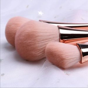 10 Piece Rose Gold Makeup Brush Set